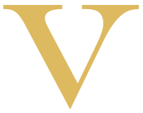 LE VELVET CLUB